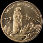 Zwierzęta świata: Świstak (łac. Marmota marmota)